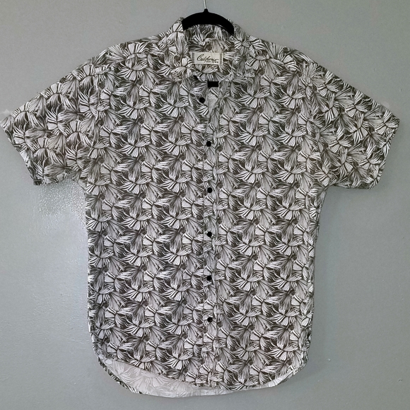 🔘 Button Down - Picture 1 of 1